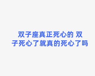 双子座真正死心的 双子死心了就真的死心了吗